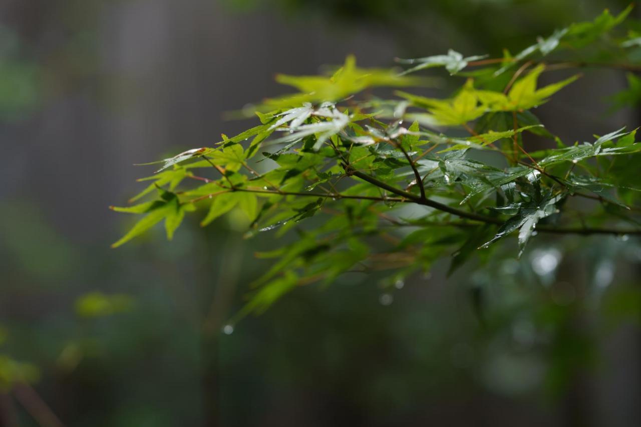 滔々 御崎 町家の宿 Toutou Onzaki Machiya No Yado Kurashiki Extérieur photo